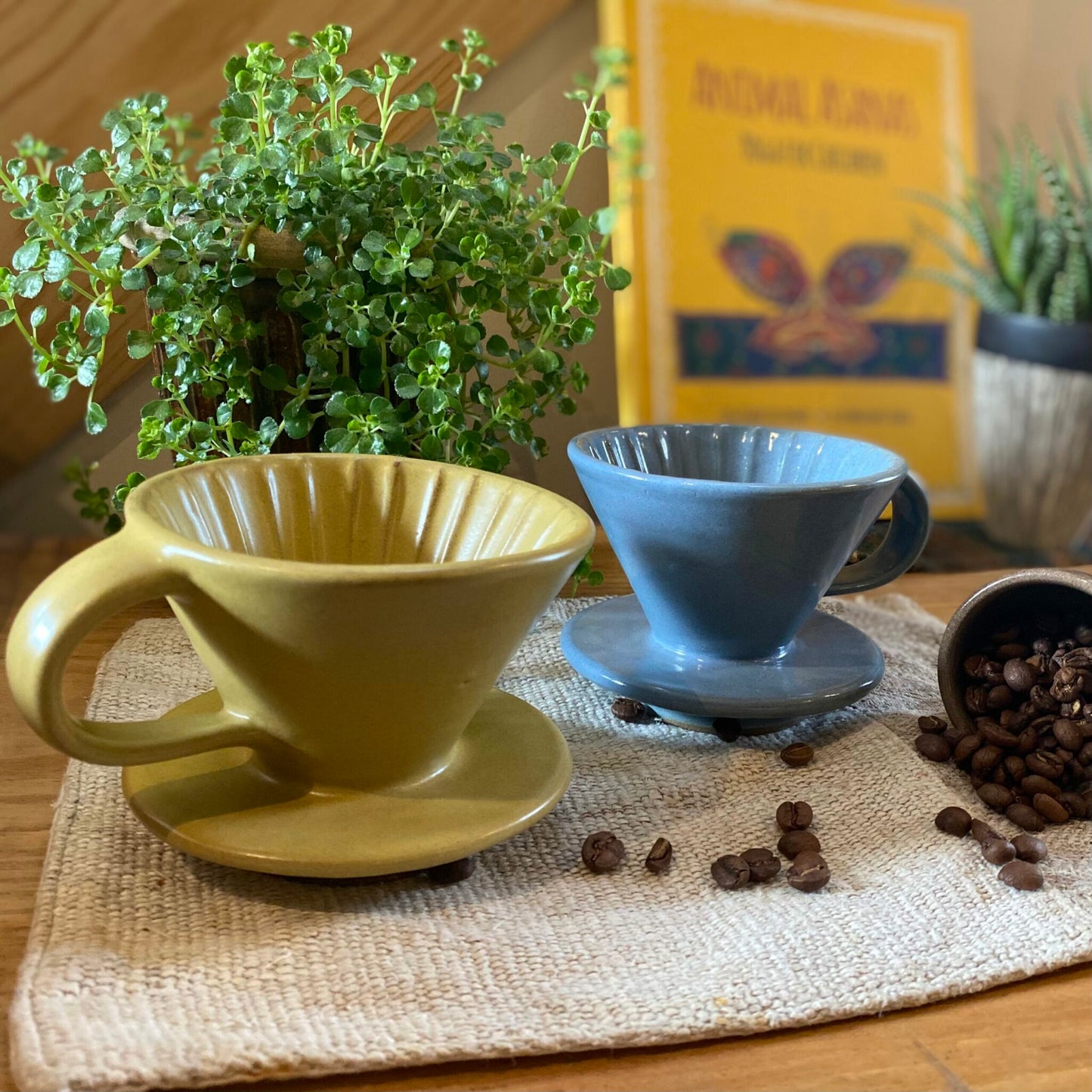 Ceramic-Coffee-Filter