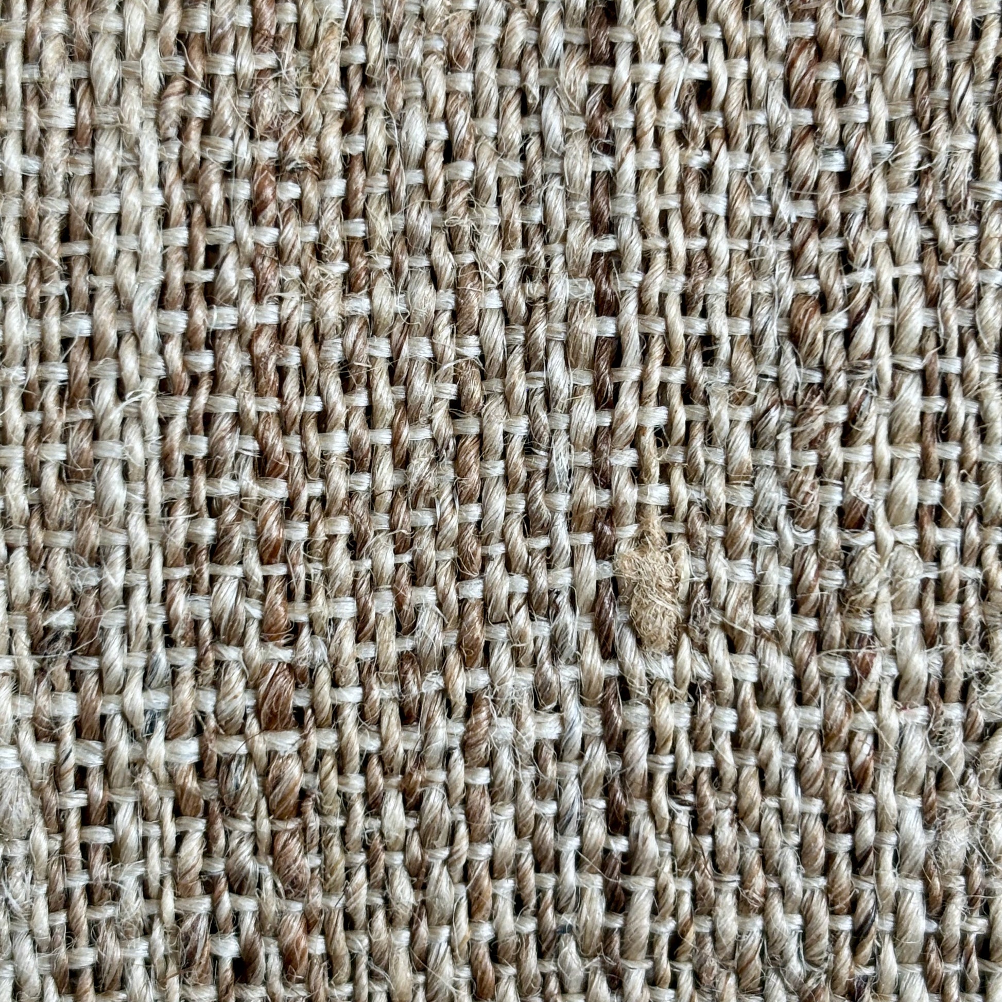Himalayan Nettle Fabric