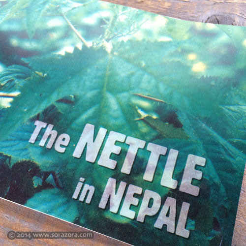 Nettle in Nepal by Susi Dunsmore
