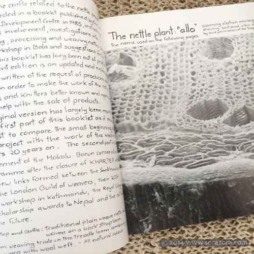 Nettle in Nepal by Susi Dunsmore